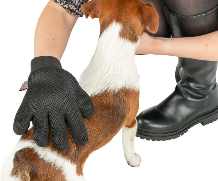 TRIXIE Fellpflege-Handschuh